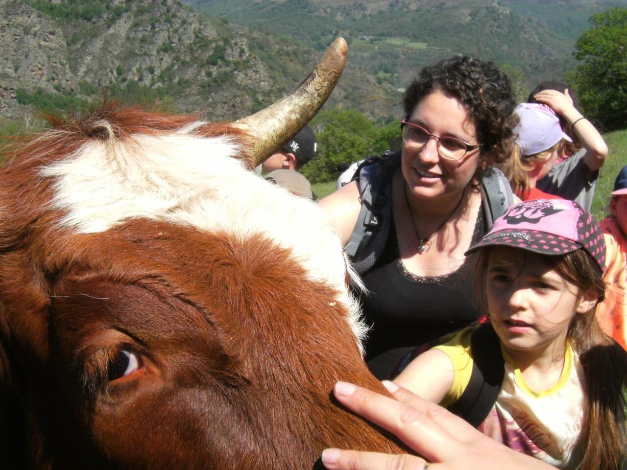 La Ferme Des Cevennes Hotel Florac Buitenkant foto