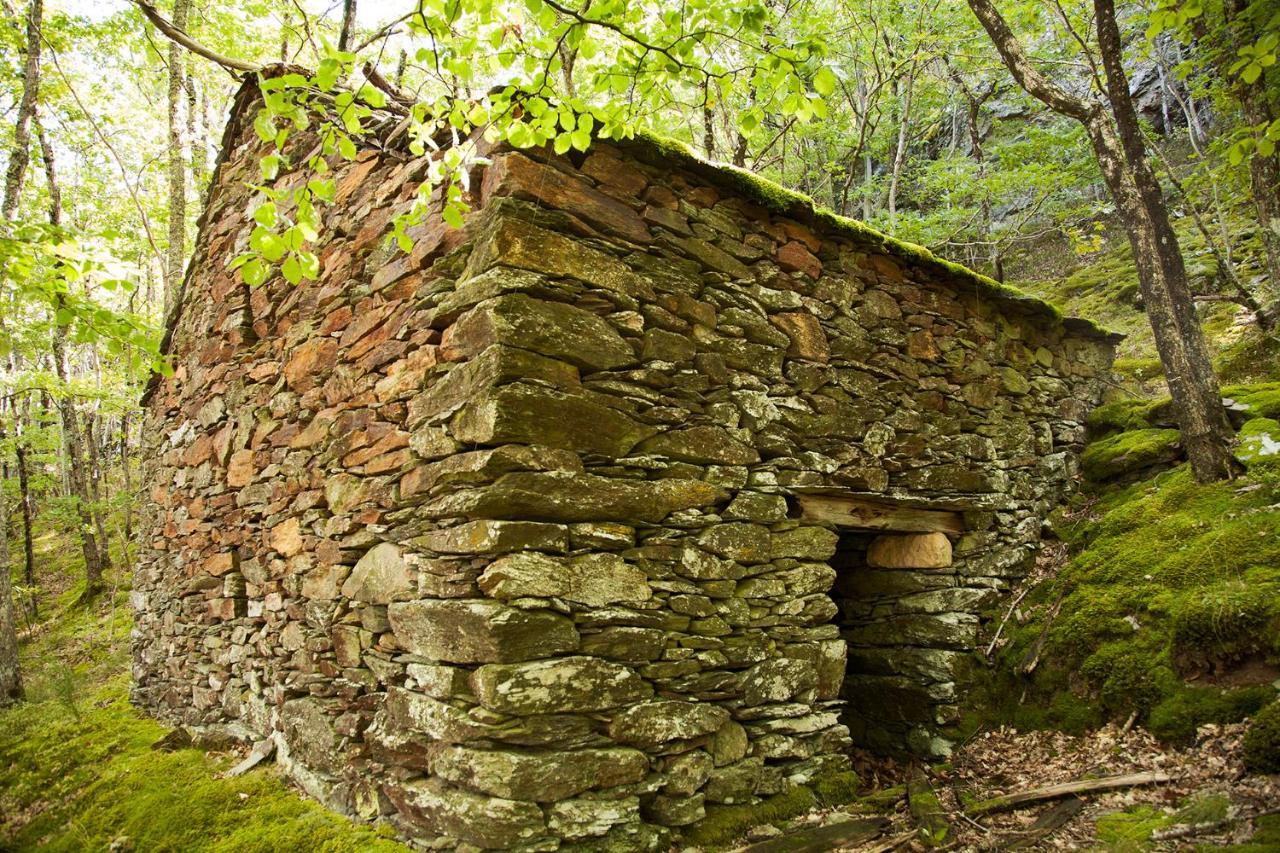 La Ferme Des Cevennes Hotel Florac Buitenkant foto